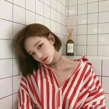 庇护棕榈树下